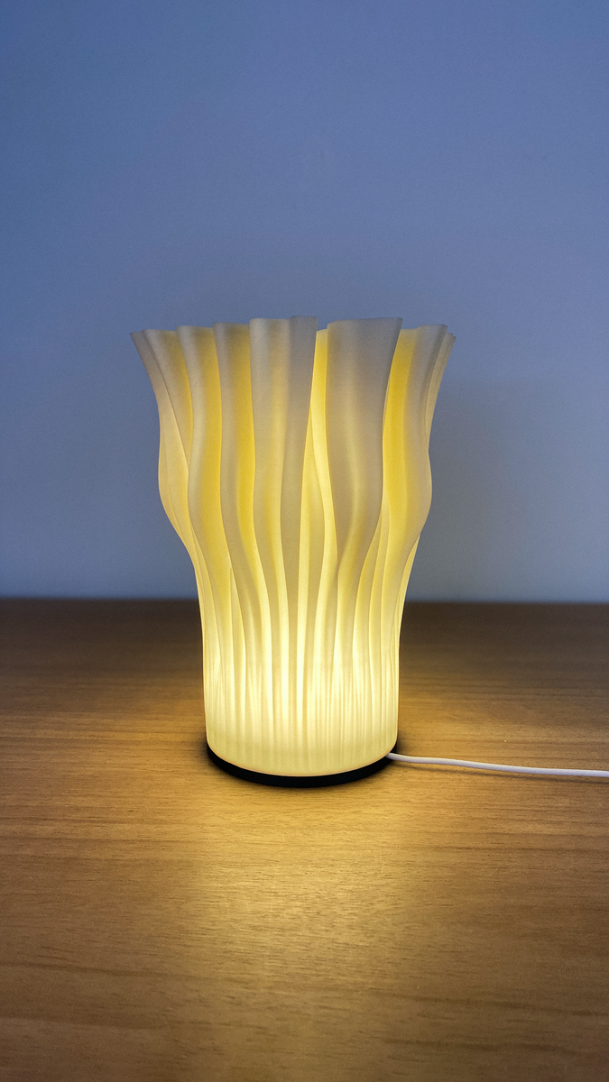 ZOAN LAMP 8 1920
